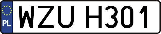 WZUH301