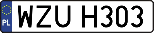 WZUH303