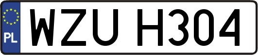 WZUH304