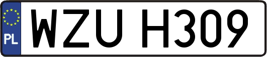 WZUH309