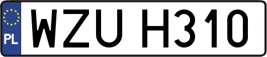WZUH310