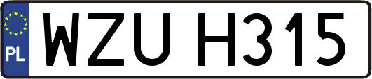WZUH315