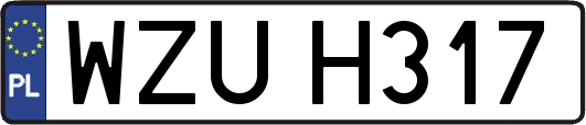 WZUH317