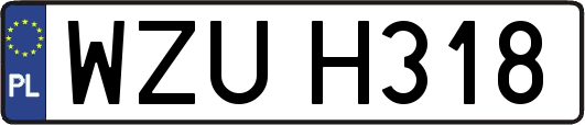 WZUH318