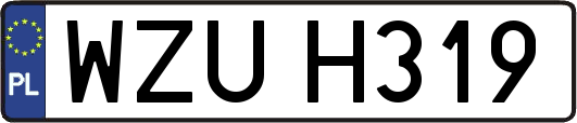 WZUH319