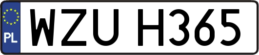 WZUH365