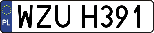 WZUH391