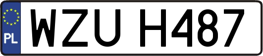 WZUH487
