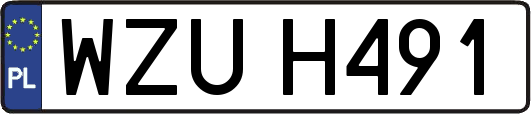WZUH491
