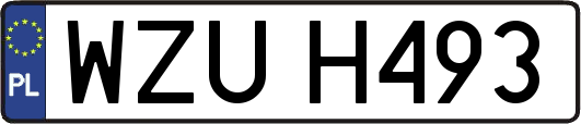 WZUH493