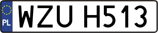 WZUH513