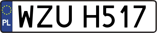 WZUH517