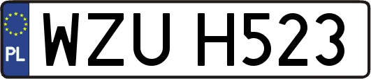 WZUH523