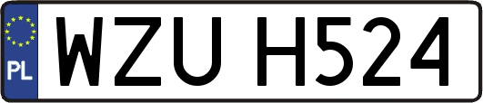 WZUH524