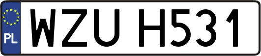 WZUH531