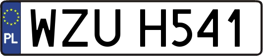 WZUH541