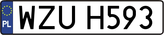 WZUH593