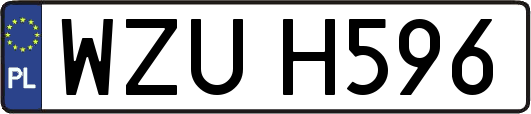WZUH596