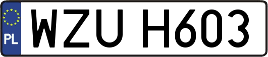 WZUH603