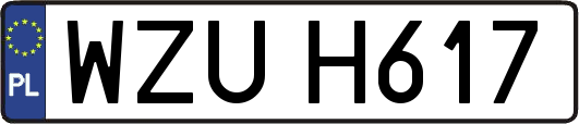 WZUH617