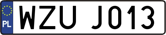 WZUJ013
