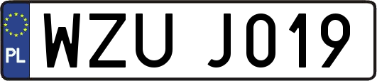 WZUJ019