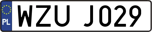 WZUJ029