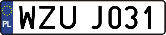 WZUJ031