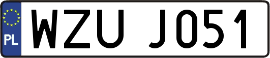 WZUJ051