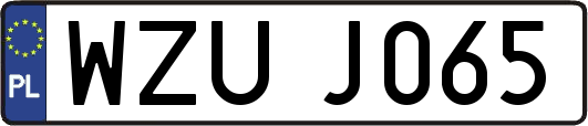 WZUJ065