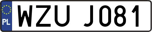 WZUJ081