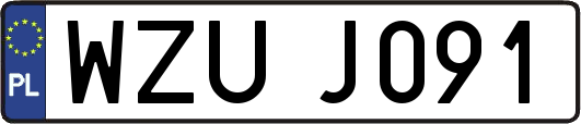 WZUJ091