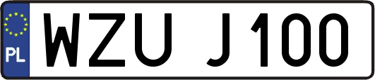 WZUJ100