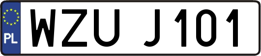 WZUJ101