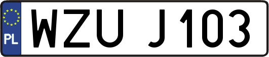 WZUJ103