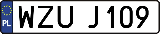 WZUJ109
