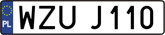 WZUJ110