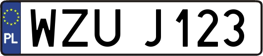 WZUJ123