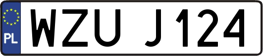 WZUJ124