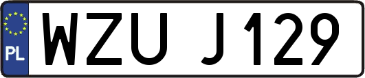 WZUJ129