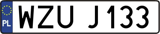 WZUJ133