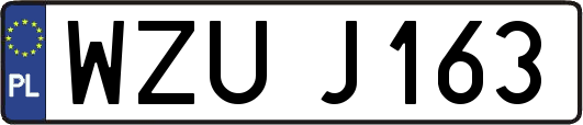 WZUJ163