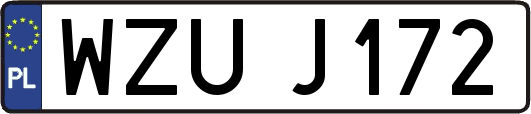 WZUJ172