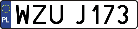 WZUJ173