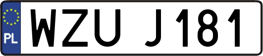 WZUJ181