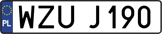 WZUJ190