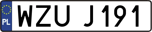 WZUJ191