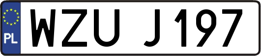 WZUJ197