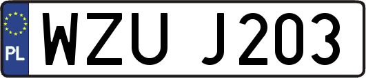 WZUJ203