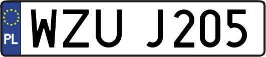 WZUJ205